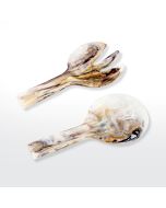 Short Handle Servers Mocha 