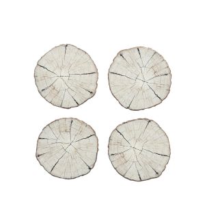 Birch Coasters Set of 4