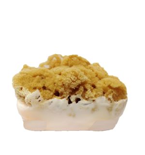 Natural Sponge Soap