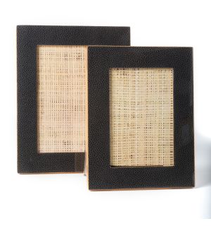 Enameled Stingray Frame  