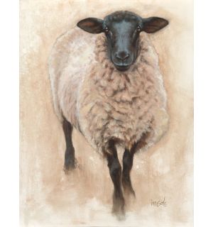 The Suffolk Sheep 