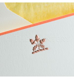 Acorn Boxed Note Cards 